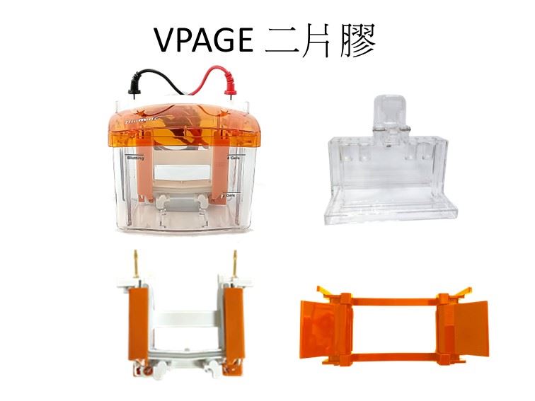 BioRad 相容電泳槽