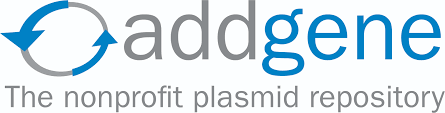 提供plasmid