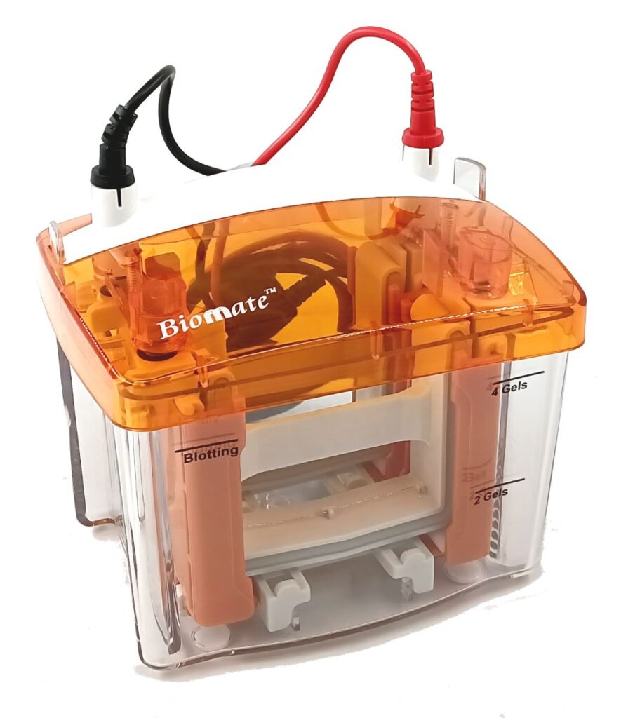 BioRad 相容電泳槽