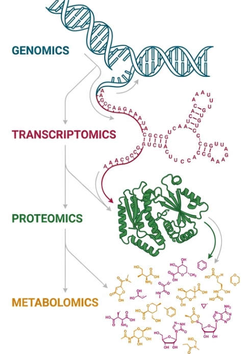 multi omics cascade