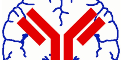 NeuroMab 神經科學研究、Parkinson disease PD AD 抗體 代理商 經銷商