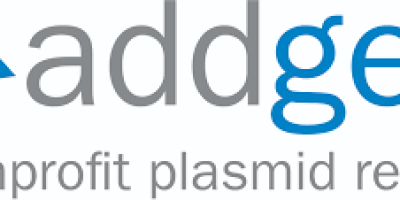 提供plasmid