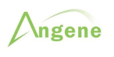 angene (1)